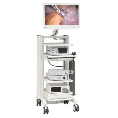 VIRON endoscopic imaging system